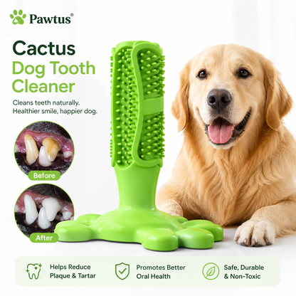 Pawtus Dog Tooth Brush