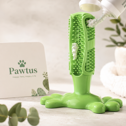 Pawtus Dog Tooth Brush